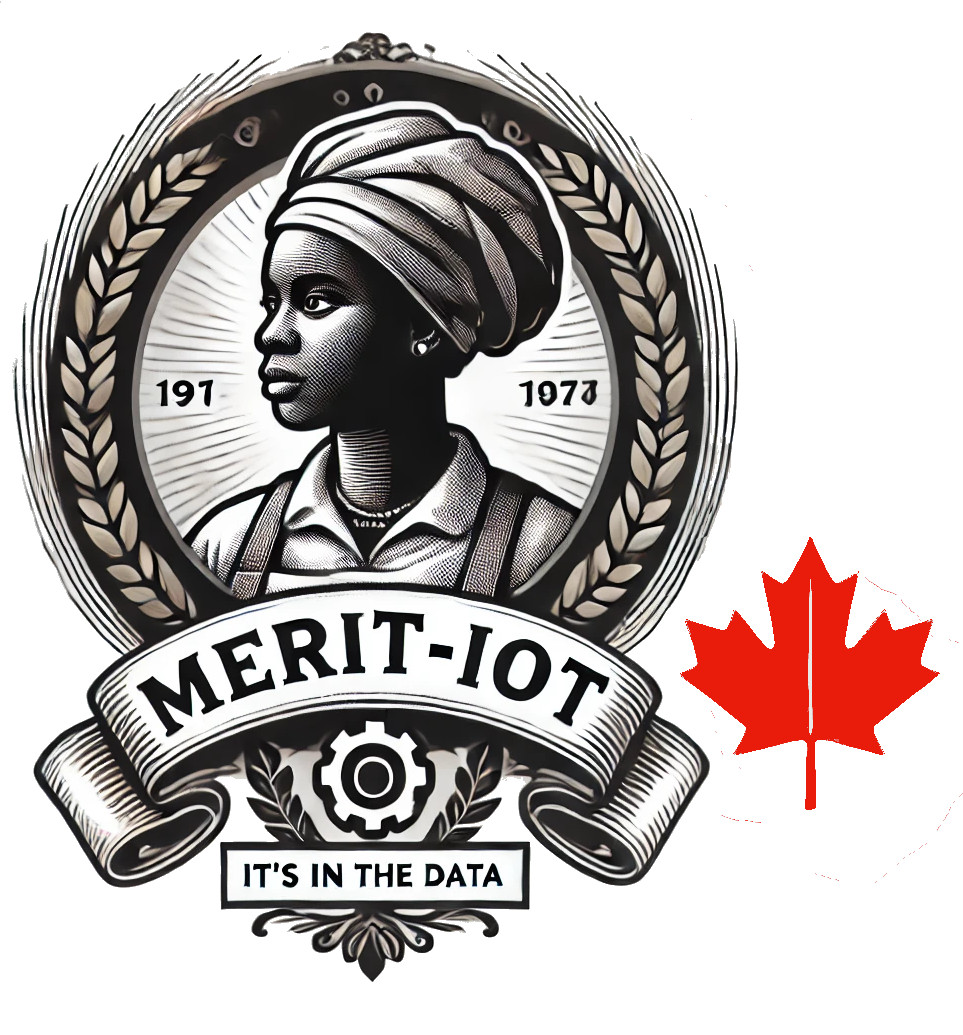 Merit-iot Logo